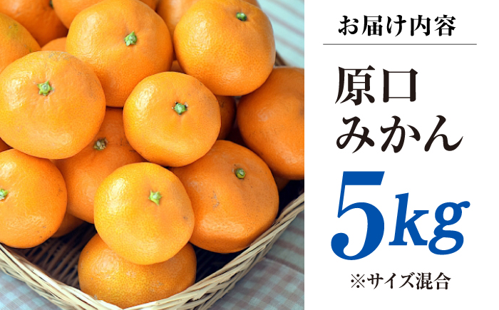 【11月中旬より配送開始】 原口みかん 約5kg （S,Mサイズ混合）＜濱崎ファーム＞ [CGT002]