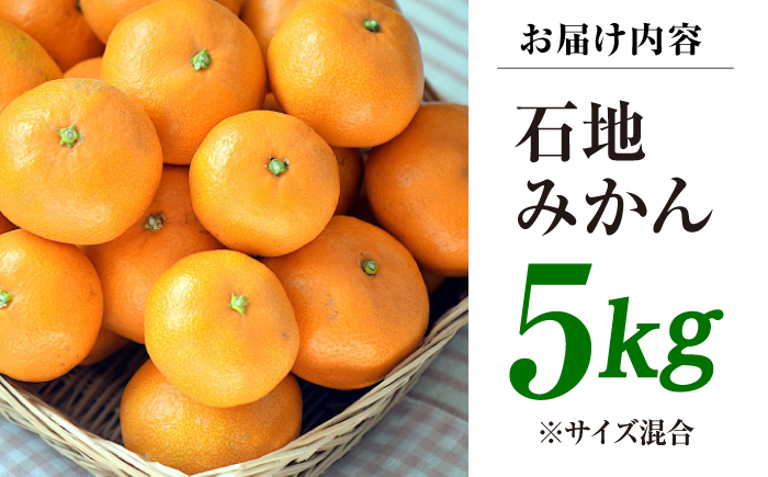【12月中旬より配送開始】 石地みかん 約5kg （S,Mサイズ混合）＜濱崎ファーム＞ [CGT003]