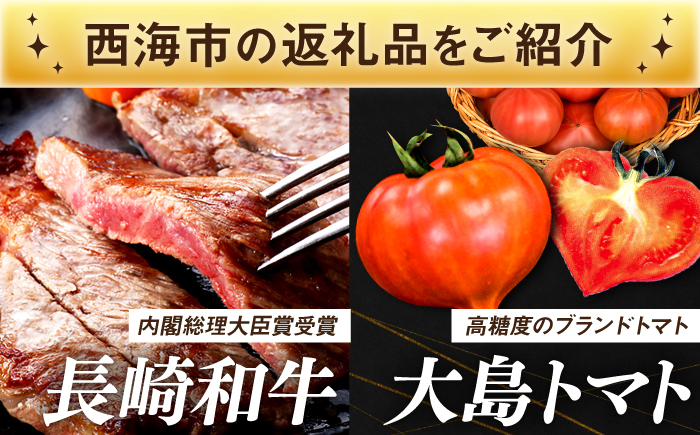 【あとから選べる！】西海市 ふるさとギフト 30万円分 和牛 ステーキ 卵 国産豚 [CZY005]