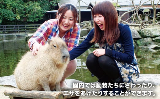 Zooっと近くにふれあえる動植物園の入園券＆割引券＜長崎バイオパーク＞ [CAB001]