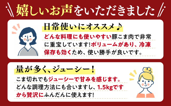 【6回定期便】【使い勝手◎】長崎うずしおポーク こま切れ 計2kg（500g×4P）＜スーパーウエスト＞ [CAG316]