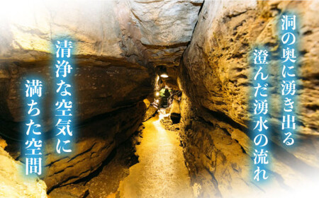 【悠久の時が刻んだ味】七ツ釜鍾乳洞 名水らむね 200ml×24本［CAI011］＜道の駅さいかい みかんドーム＞サイダー