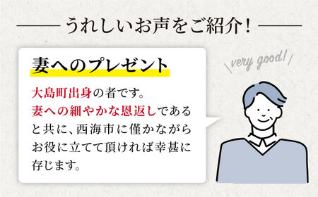 【西海の多彩な美味が食べ放題♪】 バイキング お食事券 （15,000円分）＜海の駅 船番所＞ [CAJ004]
