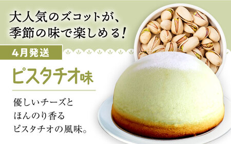 【4/20入金まで】【4月発送】スフレチーズケーキズコット★ピスタチオ味★＜お菓子のいわした＞ [CAM034]
