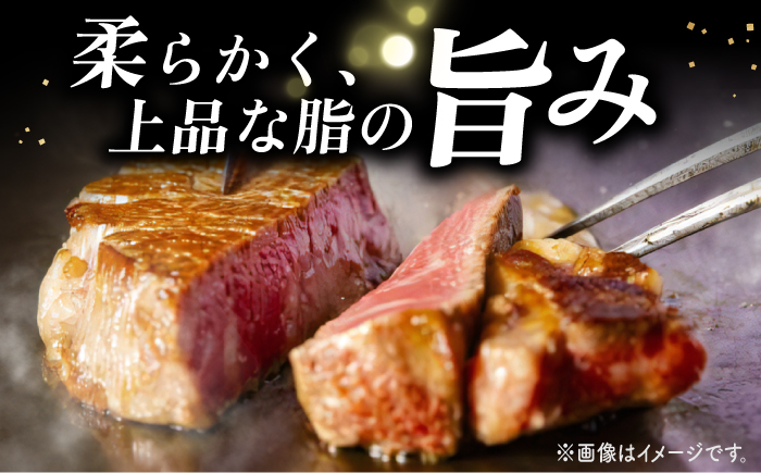 【12回定期便】長崎和牛 ヒレステーキ 計2.25kg（15枚）＜株式会社黒牛＞ [CBA013]