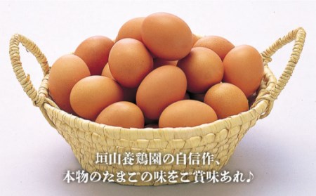 【黄身がつかめる最高級の卵】【6回定期便】かきやまの「地養卵」 Mサイズ 180個×6回定期便＜垣山養鶏園＞ [CBB011]