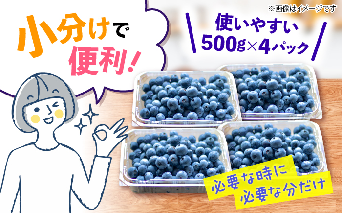 【2026年6月中旬より順次発送】【栽培期間中 農薬不使用】完熟 ブルーベリー 計2kg＜広津農園＞ [CBN009]  ブルーベリー ぶるーべりー 果物 フルーツ 生ブルーベリー