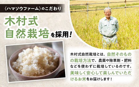 【 新米先行予約 】2025年10月より順次発送【3回定期便】 ひのひかり 白米 ＆ 玄米 計4kg（各2kg）＜ハマソウファーム＞ [CBR030]