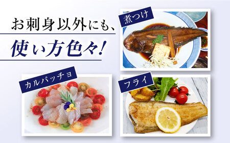 【下処理済みで安心！】 ヒラメ 堪能5点セット＜大島水産種苗＞ [CBW001] 魚 魚介類 ブロック