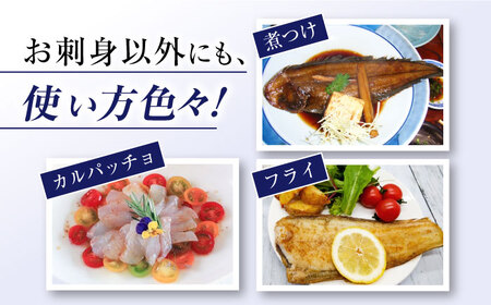 【下処理済みで安心！】 ヒラメ 堪能6点セット＜大島水産種苗＞ [CBW002] 魚 ブロック 魚介類