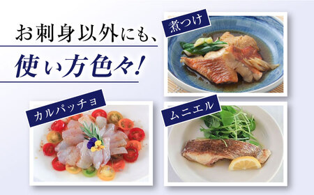 【下処理済み】 真鯛 堪能5点セット＜大島水産種苗＞ [CBW005] 魚 ブロック タイ 魚介類