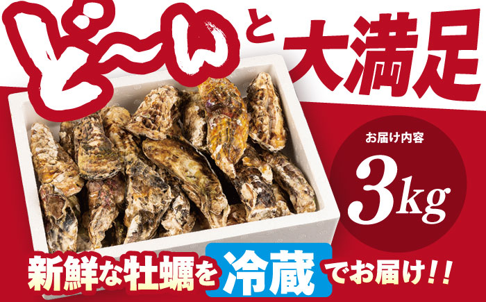 ※配達日時指定必須※【オゾン水で24時間浄化】うず潮カキ3kg（約40～60個）＜西彼町漁協＞ [CBZ001]