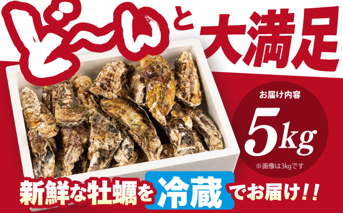 ※配達日時指定必須※【オゾン水で24時間浄化】うず潮カキ5kg（約65～100個）＜西彼町漁協＞ [CBZ002]