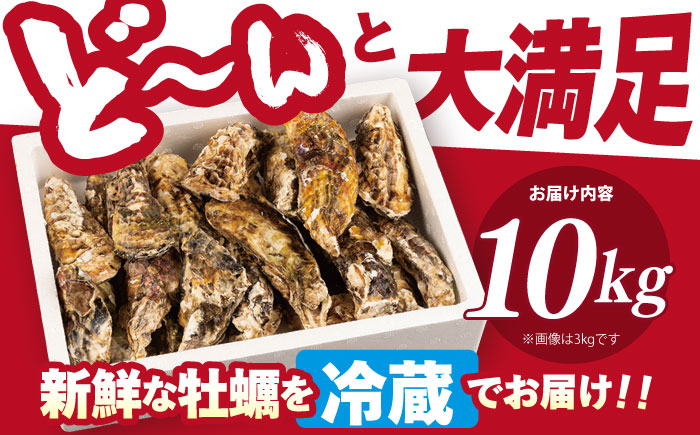 ※配達日時指定必須※【オゾン水で24時間浄化】うず潮カキ10kg（約130～200個）＜西彼町漁協＞ [CBZ003]