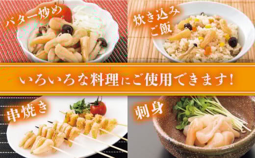 ※数量限定※【先行予約☆幻の味】真珠貝（アコヤ）の貝柱約1kg【生食可】＜西彼町漁協＞ [CBZ007]