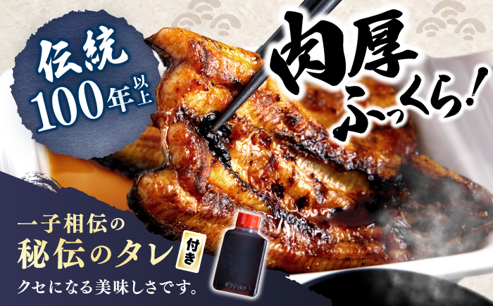 【月1回5尾×12回定期便】秘伝のタレで仕上げる 国産 うなぎ の蒲焼＜入口屋＞ [CCA013]