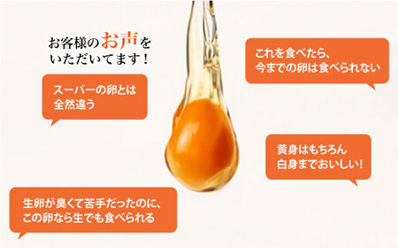 【毎月40個×6回定期便】平飼い「しあわせたまご」＜松本養鶏場＞ [CCD025]