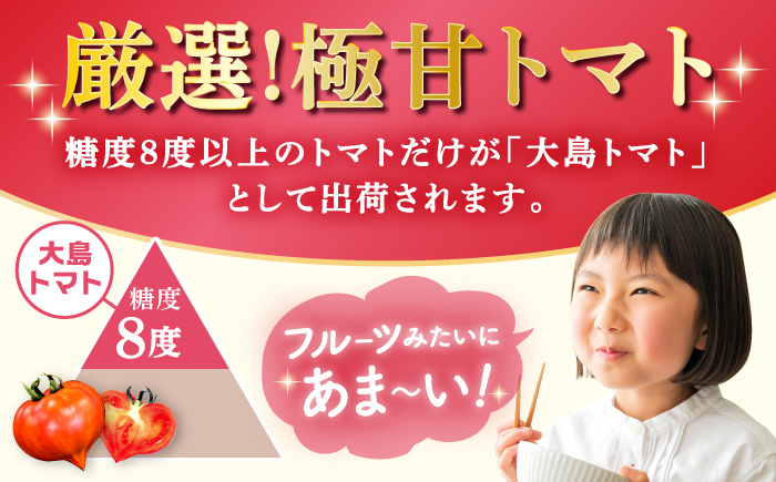 【2026年収穫分先行予約】 糖度8度以上！大島 トマト 約3kg＜大島造船所農産G＞ [CCK005]