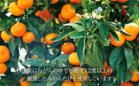 【糖度12度以上！】 原口みかん ジュース 1L ＜大島造船所 農産グループ＞ [CCK014] 長崎 西海 みかん ミカン ジュース 贈答 ギフト