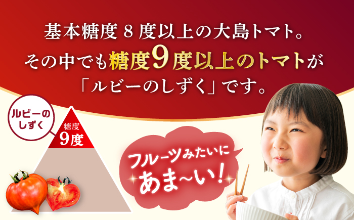 【2026年収穫分先行予約】【糖度9度以上！】 大島 トマト 特選「ルビーのしずく」約1.2kg＜大島造船所 農産グループ＞ [CCK016]
