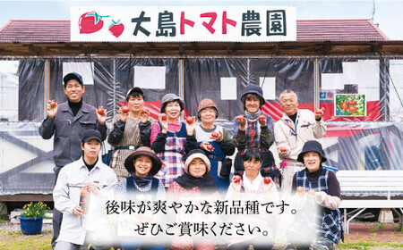 【2月より配送開始】【3kg×3回定期便】糖度7度の果実！キッストマト（ばら詰め）計9kg＜大島造船所 農産グループ＞ [CCK027]