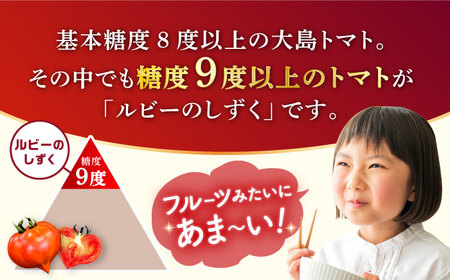 【2026年3月より配送開始】【2回定期便】糖度9度以上！ 大島 トマト 特選「ルビーのしずく」約1.2kg＜大島造船所農産G＞ [CCK030]