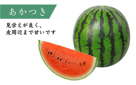 【どれが届くかな？】面高すいか約6kg×2玉＜太田幸男＞ [CCN002]