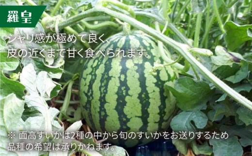【金色vs赤色すいか食べ比べ】金色羅王＆面高すいか（7kg×2玉）＜太田幸男＞ [CCN011]