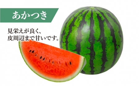 【どれが届くかな？】 面高すいか 約7kg×1玉 ＜太田幸男＞ [CCN017]