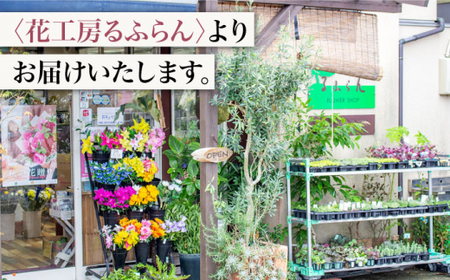 【12回定期便】【訳あり】【何色が届くかな♪】バラの花束＜花工房るふらん＞ [CCR037]