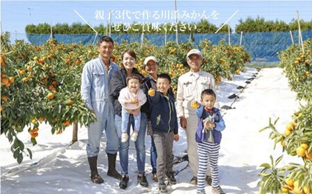 【11月下旬より配送】【優】原口みかん 約4kg（傷み保証分200g含む）＜川添みかん園＞ [CCT001] みかん ミカン 柑橘 西海みかん 西海 贈答 ギフト 贈り物