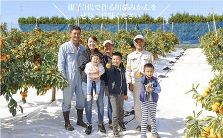 【12月上旬より配送】【秀】石地みかん 約8kg（傷み保証分300g含む）＜川添みかん園＞ [CCT007] みかん ミカン 柑橘 西海みかん 西海 贈答 ギフト 贈り物