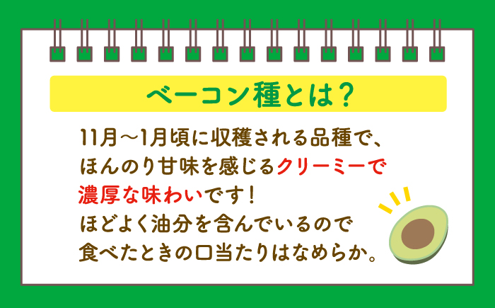 【☆先行予約☆】西海市産アボカド2個（計500～600g）＜原口果樹園＞ [CCW011]  長崎 西海 アボカド あぼかど 野菜 アボカド 健康 スムージー 栄養 贈答 ギフト
