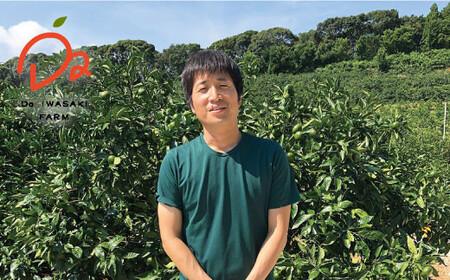 【10月中旬より発送】極早生みかん（岩崎・上野）約5kg＜Da・IWASAKI FARM＞ [CCZ002]