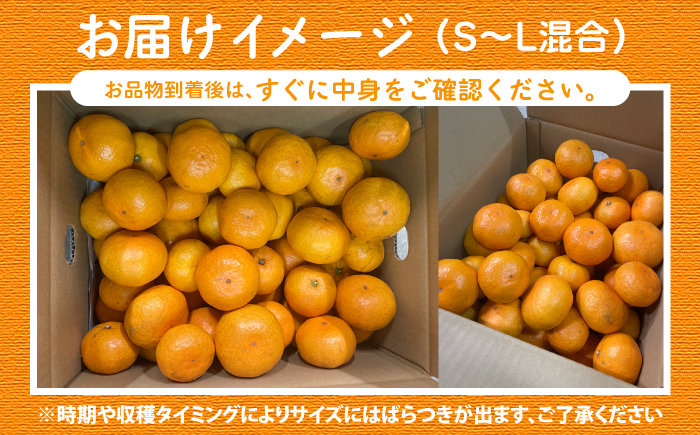 【数量限定】【11月下旬より発送】原口みかん 約5kg ＜Da・IWASAKI FARM＞ [CCZ004]