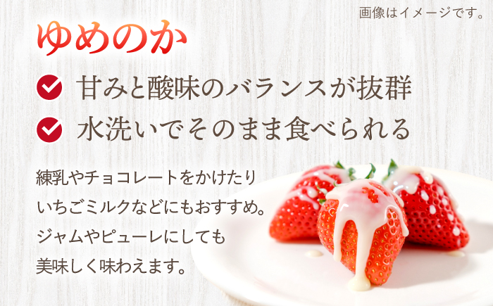 【先行予約】ゆめのか 苺 計2kg（250g×8パック）＜川原農園＞ [CDR010]  長崎 西海 いちご 苺 イチゴ 贈答 ギフト
