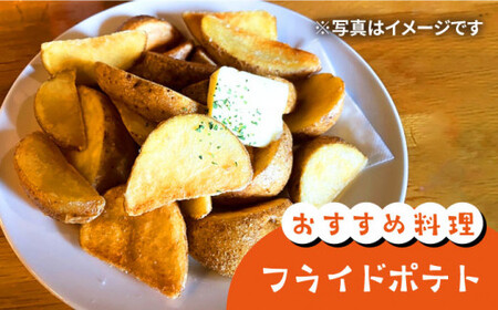 【先行予約】【2026年5月下旬より順次発送】 西海市産 じゃがいも 約10kg ＜ファームまるだ＞ [CDT002]