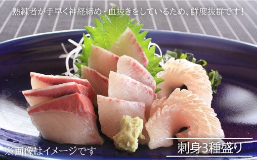 ※配達日時指定必須※【呼子ノ瀬戸名物】養殖ブリ「光鰤」1本（刺身用）3.8～4.0kg＜小山水産＞ [CDZ002]