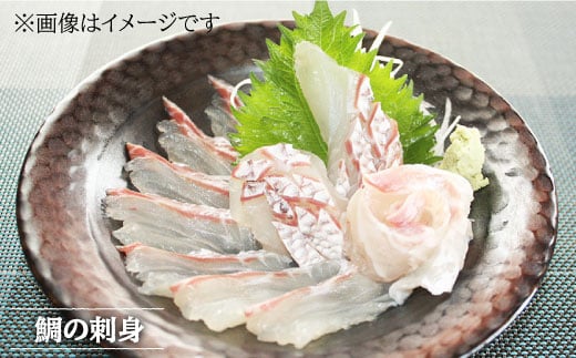 ※配達日時指定必須※呼子ノ瀬戸名物の養殖ブリ「光鰤」とキレイなサクラ色の養殖タイ＜小山水産＞ [CDZ004]