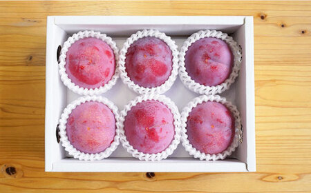 【プラムの王様】 貴陽 （きよう）計1kg（5～6玉）＜竹嶋農園＞ [CEB001] もも