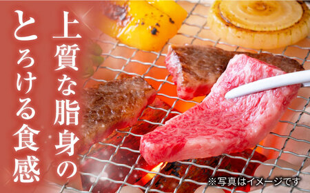 【 訳あり 】【6回 定期便 】 長崎和牛 ロース 焼肉用 約500g×6回定期便＜大西海ファーム＞ [CEK145]