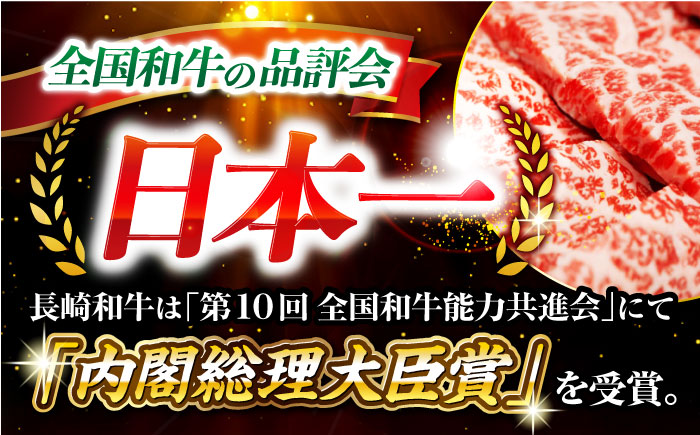 【12回定期便】長崎和牛 サーロイン ステーキ 計500g（2枚） 訳あり ＜大西海ファーム食肉加工センター＞ [CEK181]