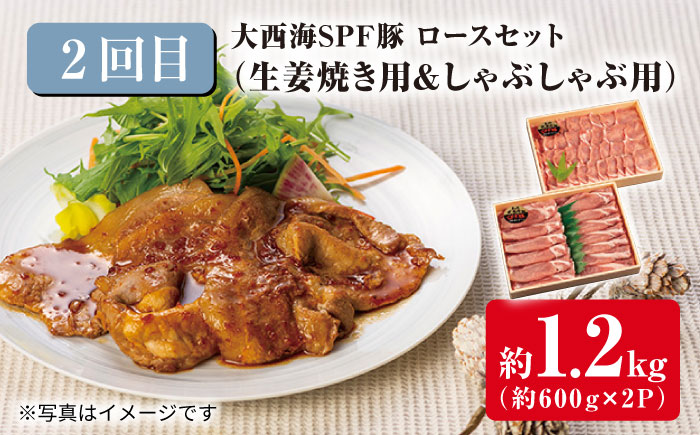 【3回定期便】 大西海SPF豚 便利 3種セット 総計4.2kg 訳あり ＜大西海ファーム＞ [CEK182] 豚肉