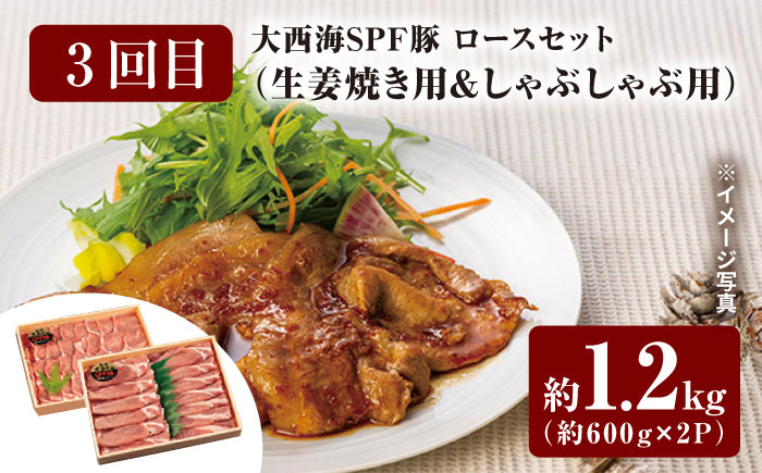 【スタメン揃い！】【6回定期便】 長崎和牛 大西海SPF豚 6種 定期便 訳あり ＜大西海ファーム＞ [CEK185] 豚肉