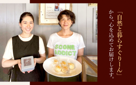 【和と洋の融合】あんバタースコーンサンド＜自然と暮らすぐりーん＞ [CEM005]