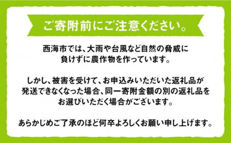 【数量限定】 【訳あり】とにかく甘い！シャインマスカット約2kg（4房～6房）＜岡本　満博＞ [CEN004]