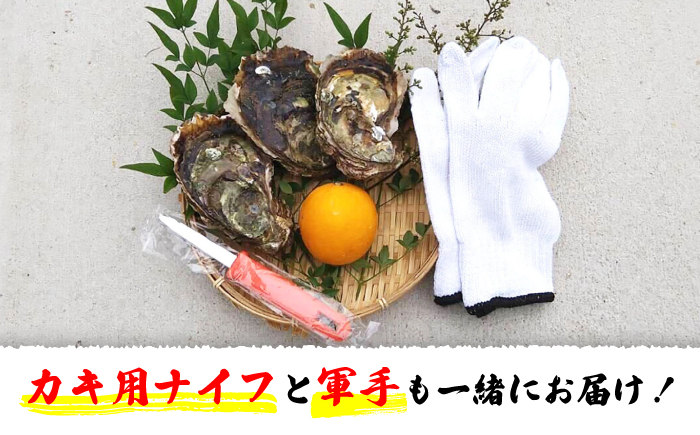 【数量限定】大粒！岩ガキ約2kg（約13個～20個）＜ハマフジ水産＞ [CES001] 海産物 魚介類