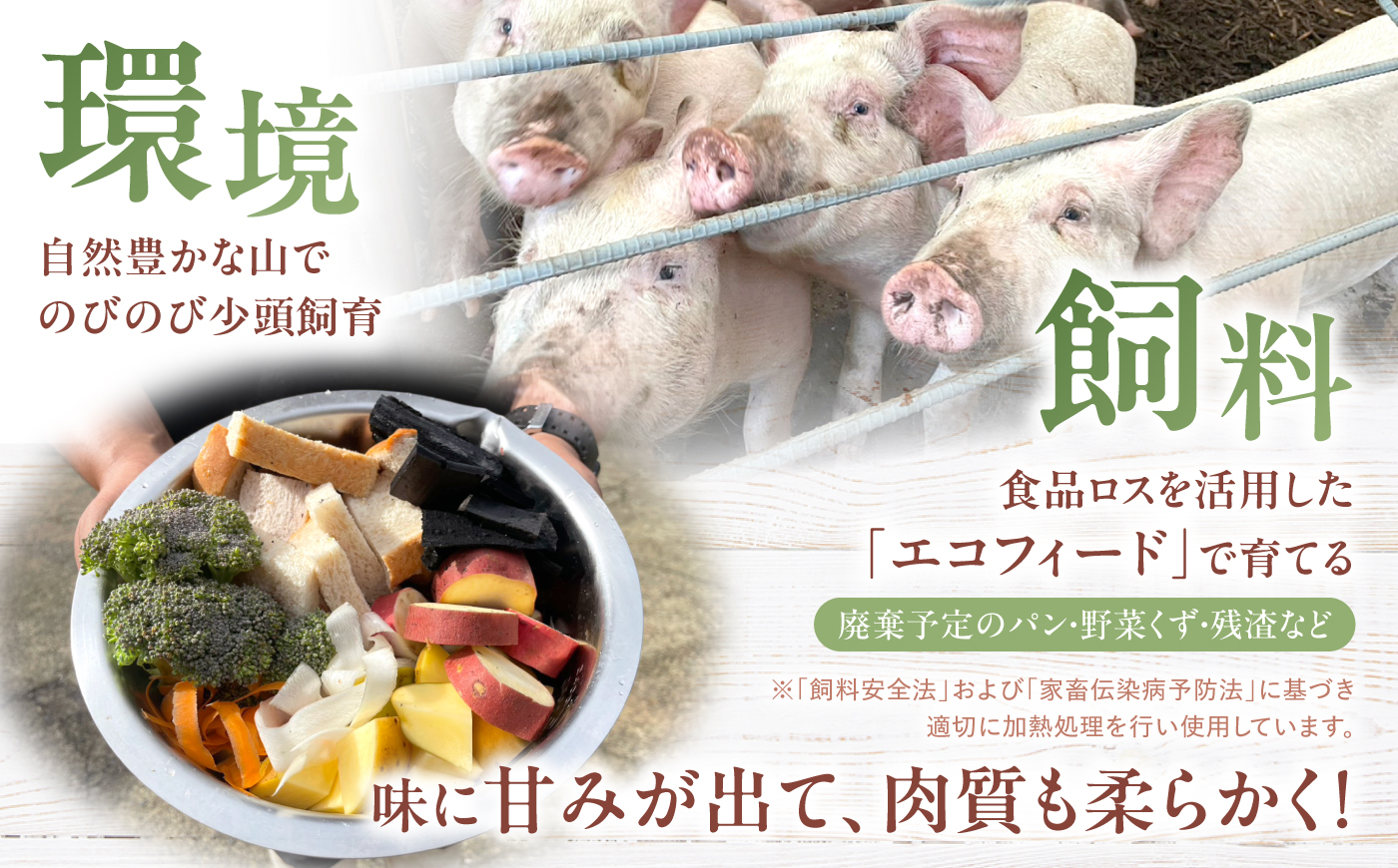 【12回定期便】西海市産 「炭美豚」 とんかつ用ロース2kg（250g×8パック）＜宮本畜産＞ 豚肉 とんかつ用 豚 便利 ロース 冷凍 国産 料理 使いやすい 甘い ブランド豚 ポーク 長崎 西海 [CFA072]