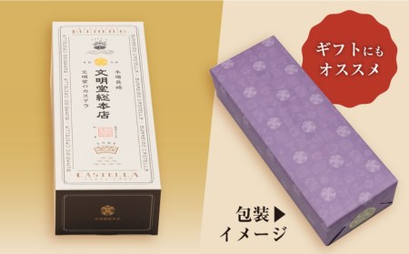 【王道の大人気】【6回定期便】長崎 カステラ 1号 ＜文明堂総本店＞ [CFG007]