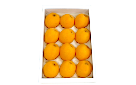 【高島屋選定品】【先行予約】九州屋 茂木 びわ 400g（ Lサイズ 12粒入）＜高島屋＞ [CFQ060]